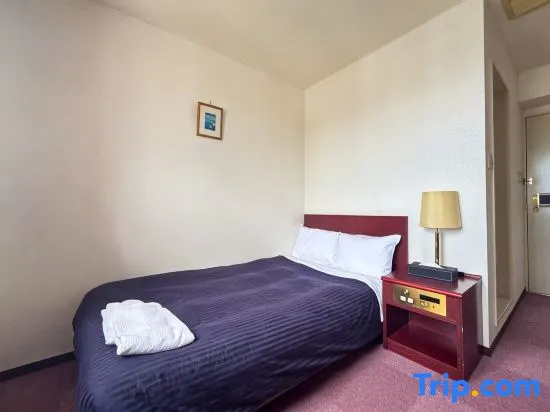 Standard Single room (single bed)