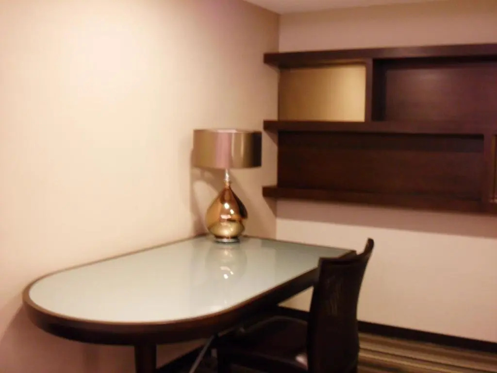 Deluxe Double room (full double bed)