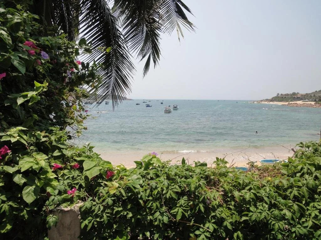 Beach & Waterfront