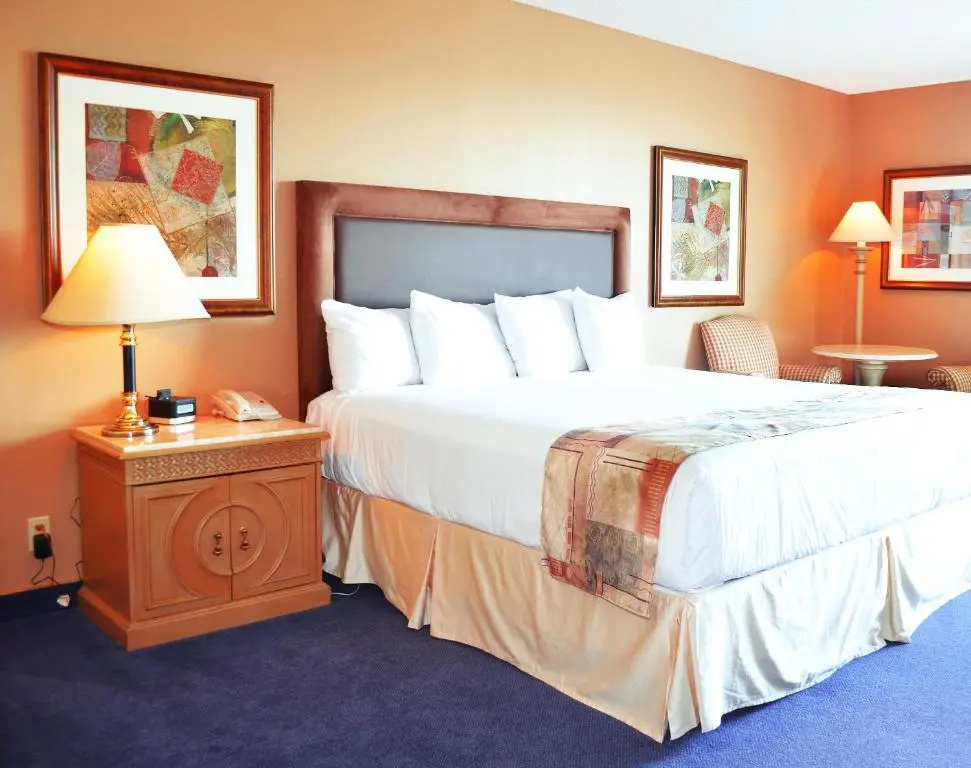 Standard room with river view
