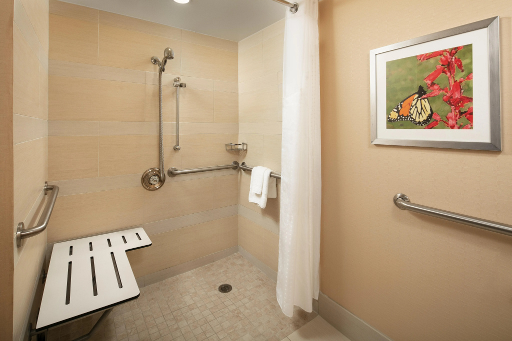 Holiday Inn Austin -Town Lake by IHG - Général