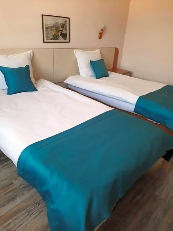 Hotel Balkan - Chambres