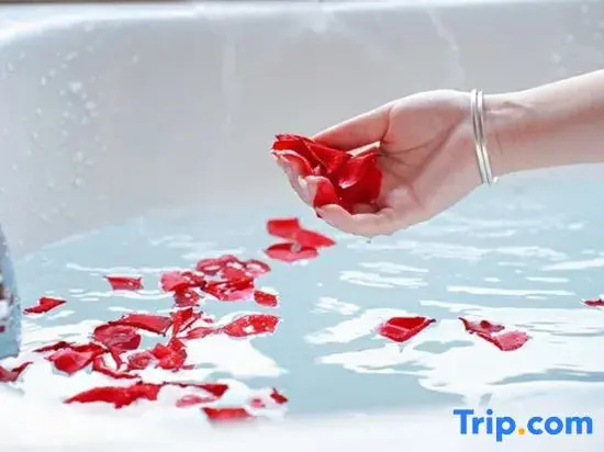 Preess Resort Hotel - Chambres