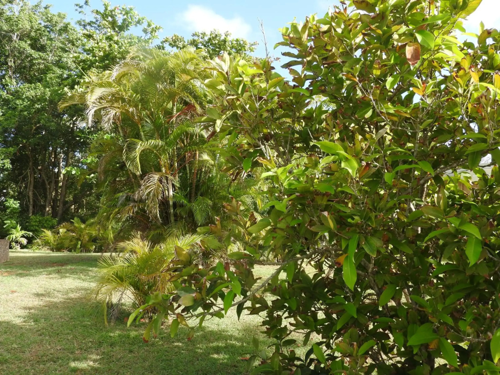 Kreyol Eden Cottage