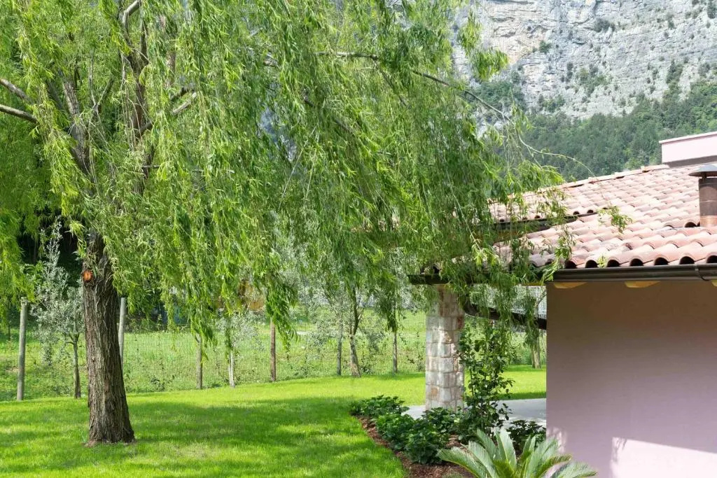 Agriturismo Vin e Amor - Chambres