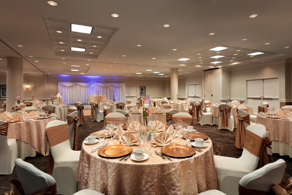 Holiday Inn Washington-Dulles International Airport by IHG - Général