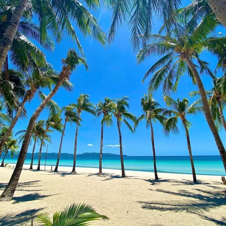 Beach & Waterfront