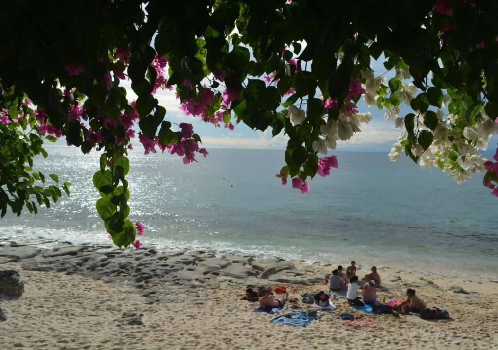 Beach & Waterfront