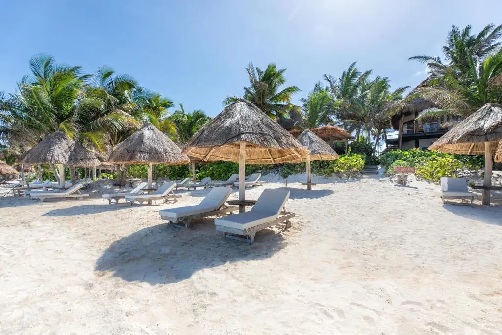 Beach & Waterfront