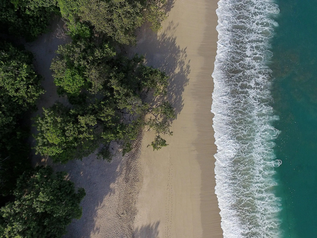 W Costa Rica - Reserva Conchal - фото 44
