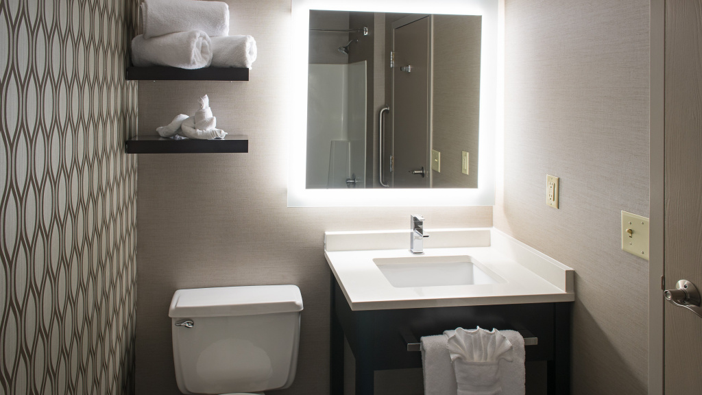 Holiday Inn St. Paul Downtown by IHG - Général