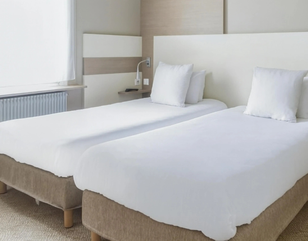 Standard Double room (twin beds)