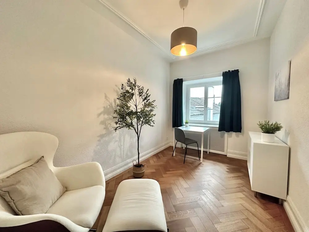 Business Apartment Solothurn - фото 10
