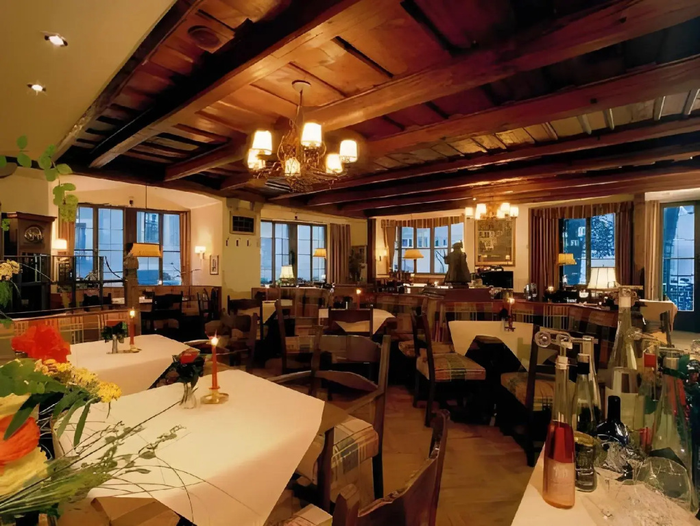 Hotel Reichs-Kuchenmeister - Général