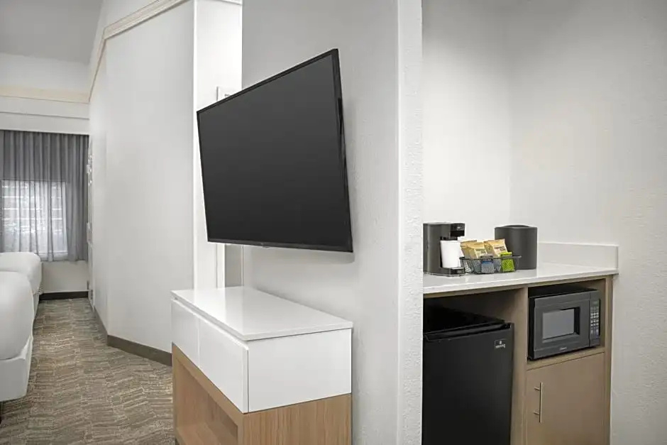 Double Suite (full double bed)
