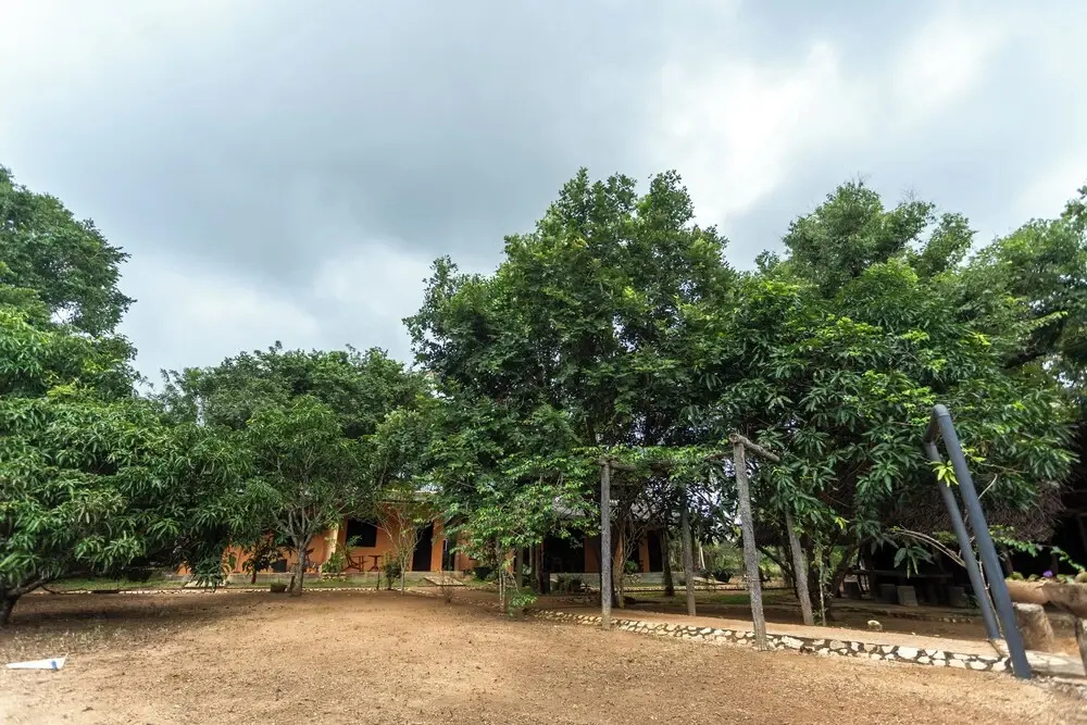 Elephant Path by Alpine Resorts