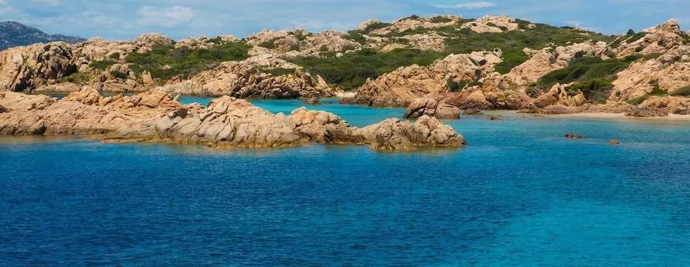 Palau City Hotel - фото 16