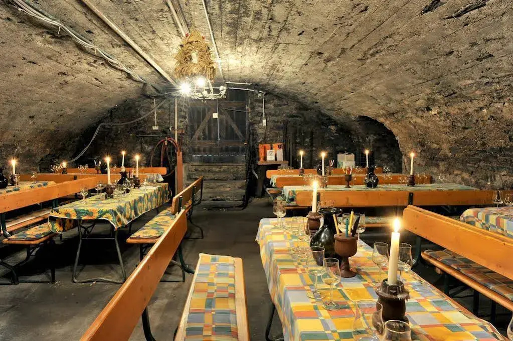 Winzerhotel zum Moselstrand - Général
