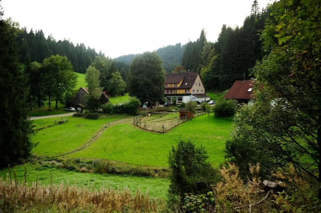 Jägerhof Kropfmühle - Chambres