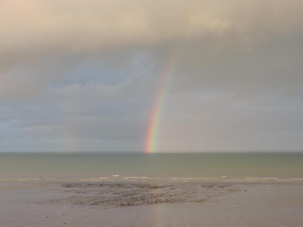 Image 24