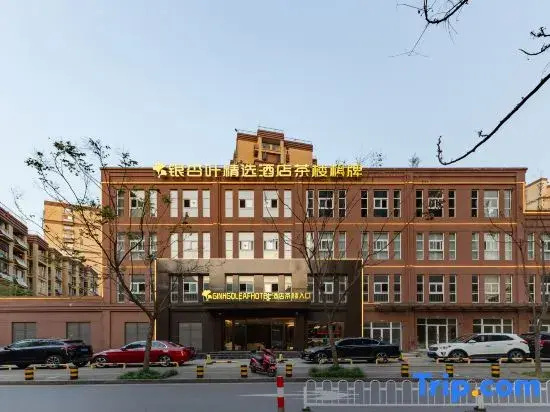 Lu'an Ginkgo Leaf Select Hotel (Wanda Plaza)