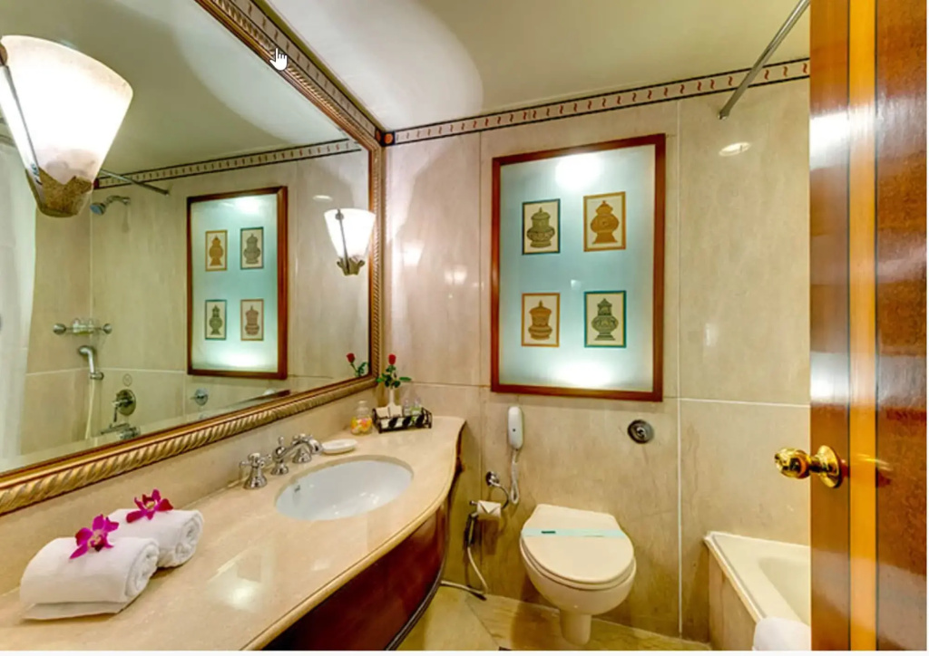 Hotel Hindusthan International - Général