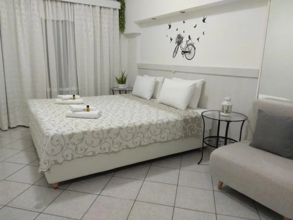 Standard Double room with mountain view (full double bed)