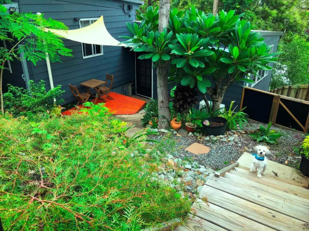Eumundi Cottage in Town - фото 11