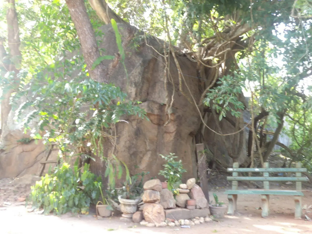 Peacock Tourist Rest