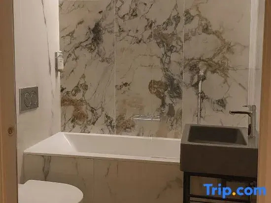 Grand Tonic Hôtel & SPA Paris 85