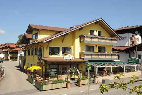 Image 11