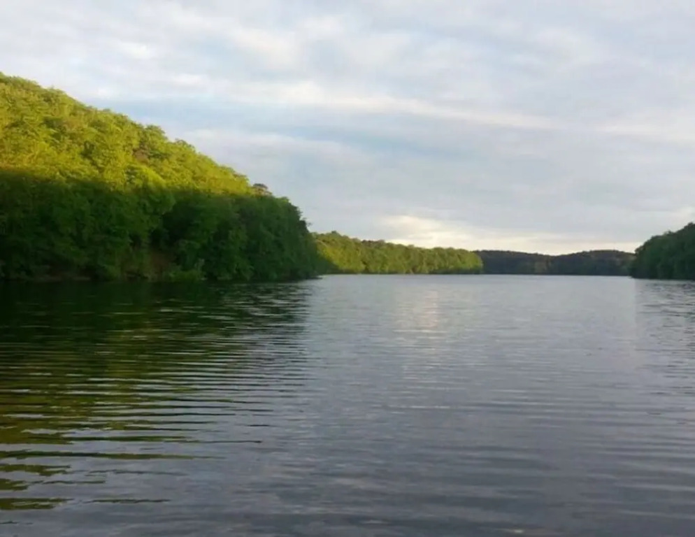 Image 8