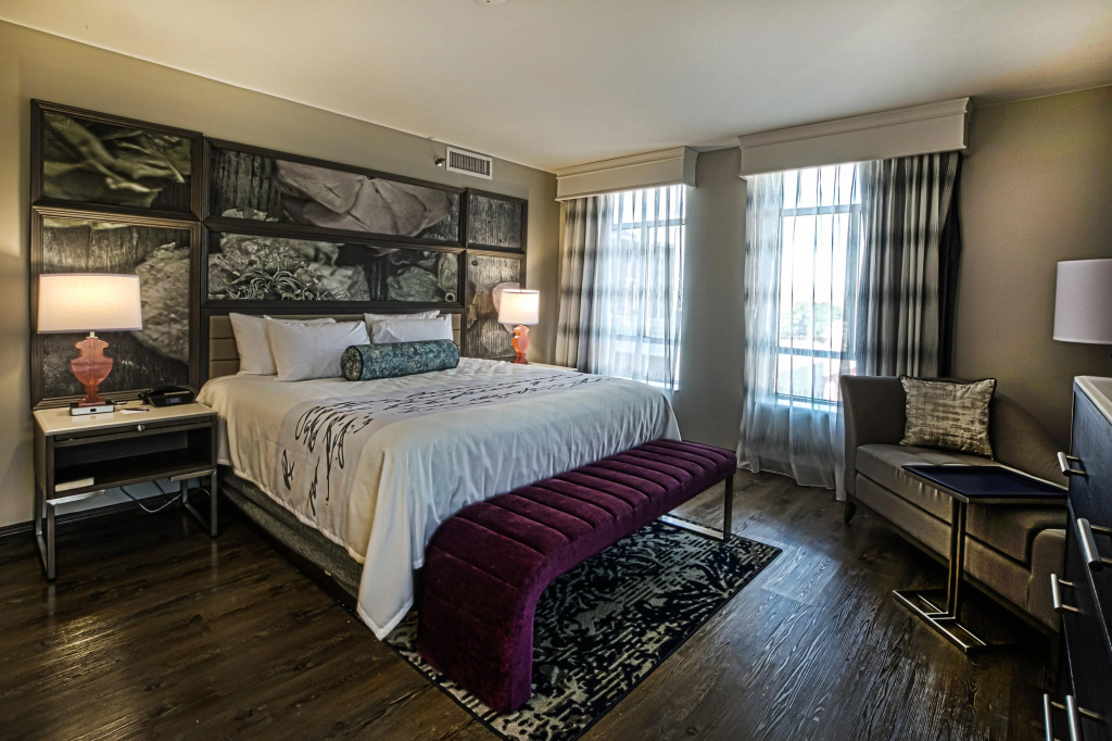 Hotel Indigo Birmingham Five Points S - UAB by IHG - Général