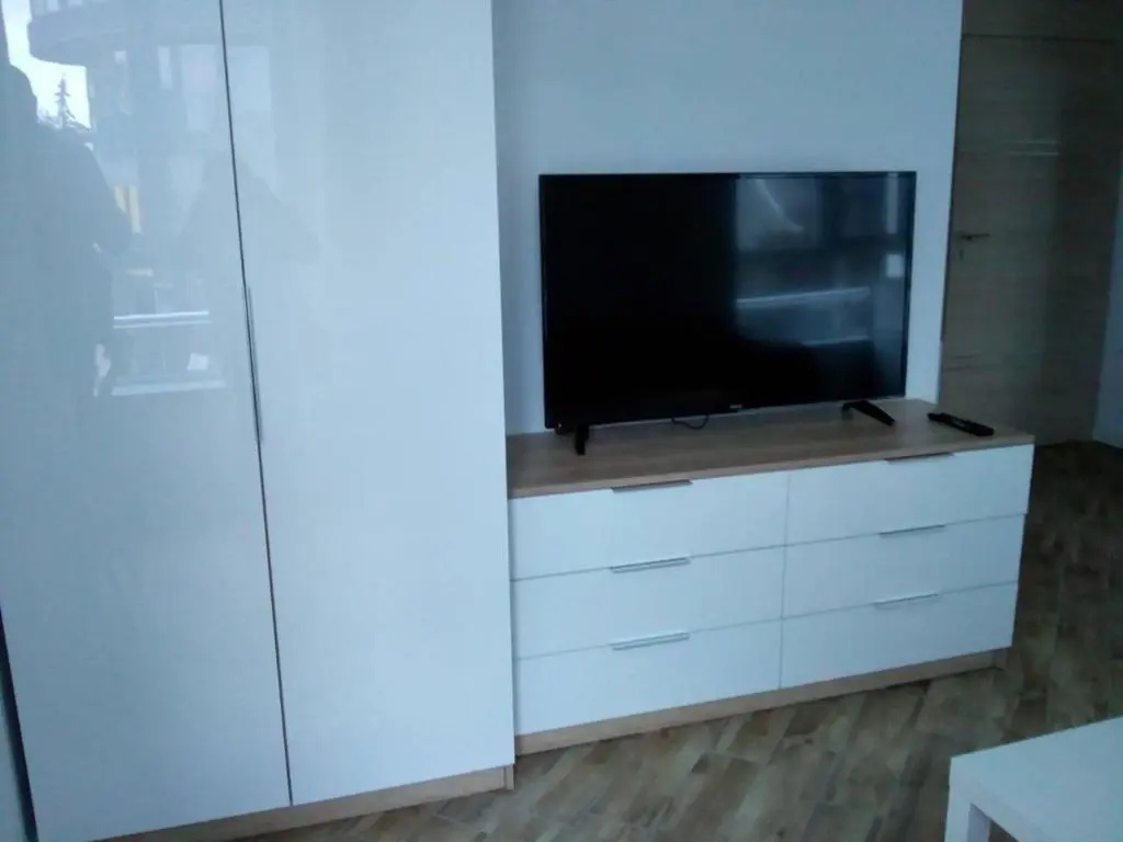 Luxury Apartment