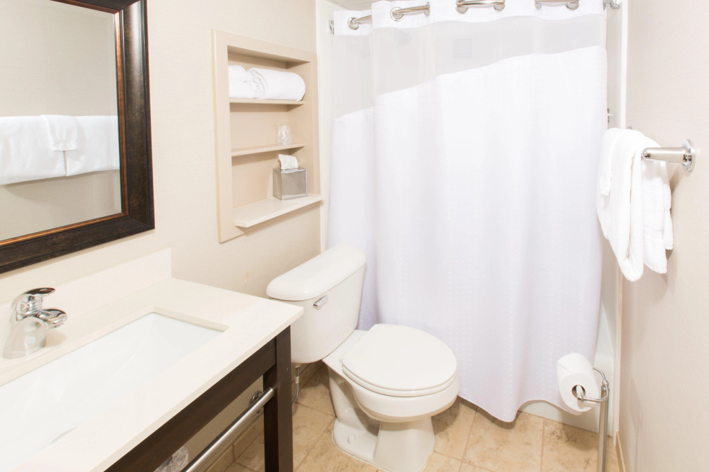 Holiday Inn Sioux Falls-City Centre by IHG - Général