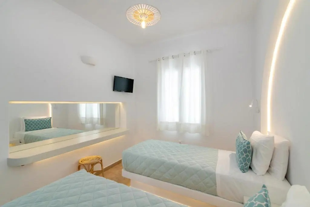 Deluxe Double room (twin beds)