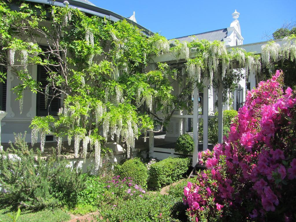 Image 19