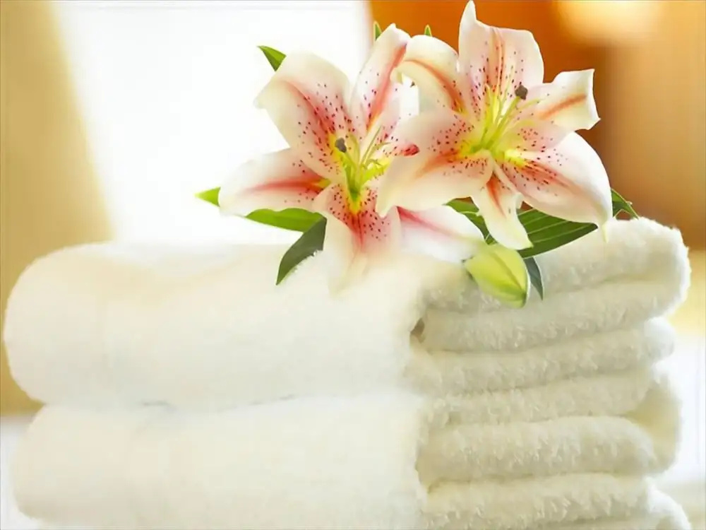 Hotel Bellevue - Chambres