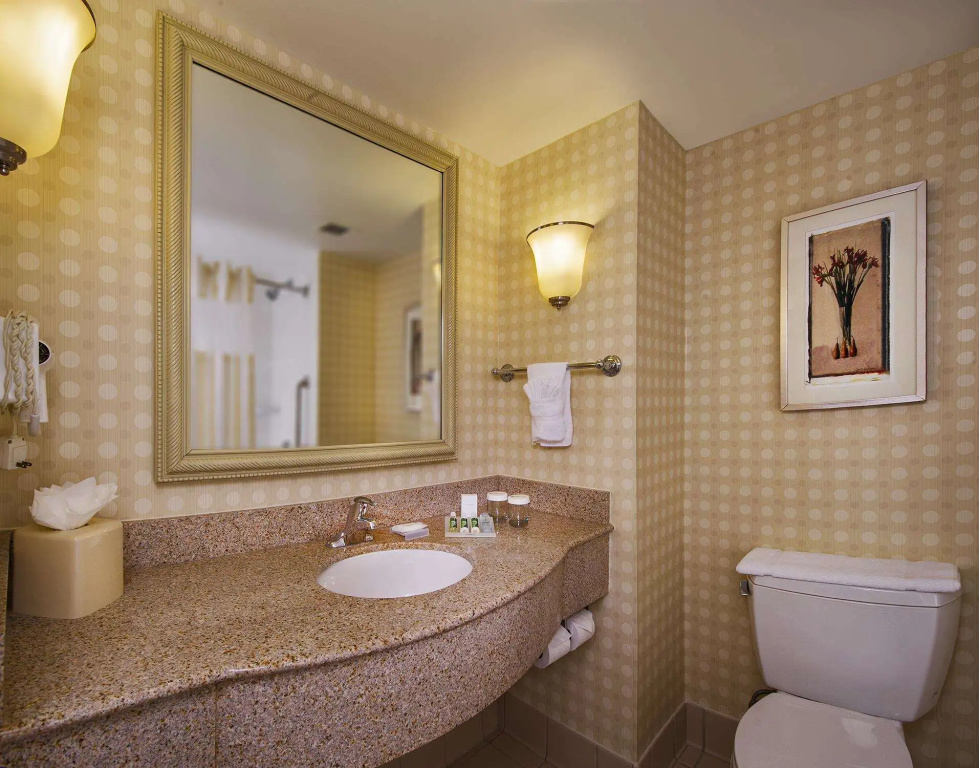 Hilton Garden Inn Tysons Corner - Général