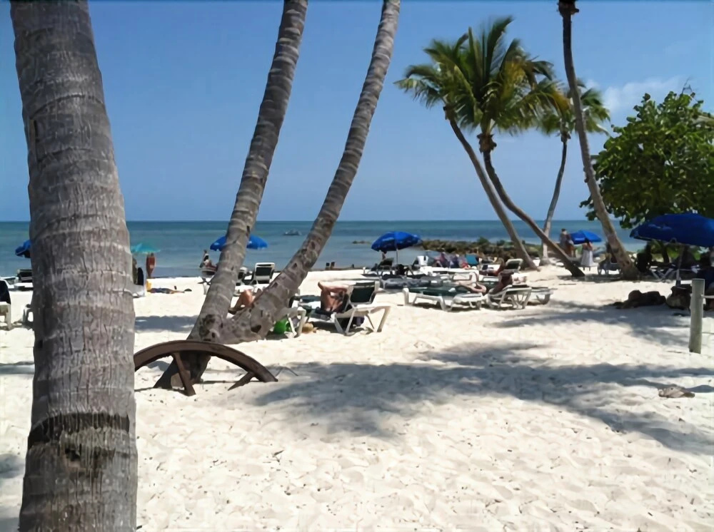 The Beach Bungalow - Général