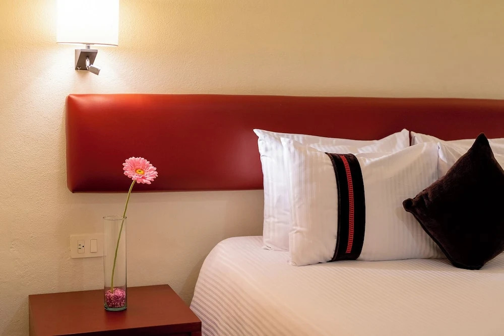Номер Preferential в Hotel Misión Puebla Angelopolis