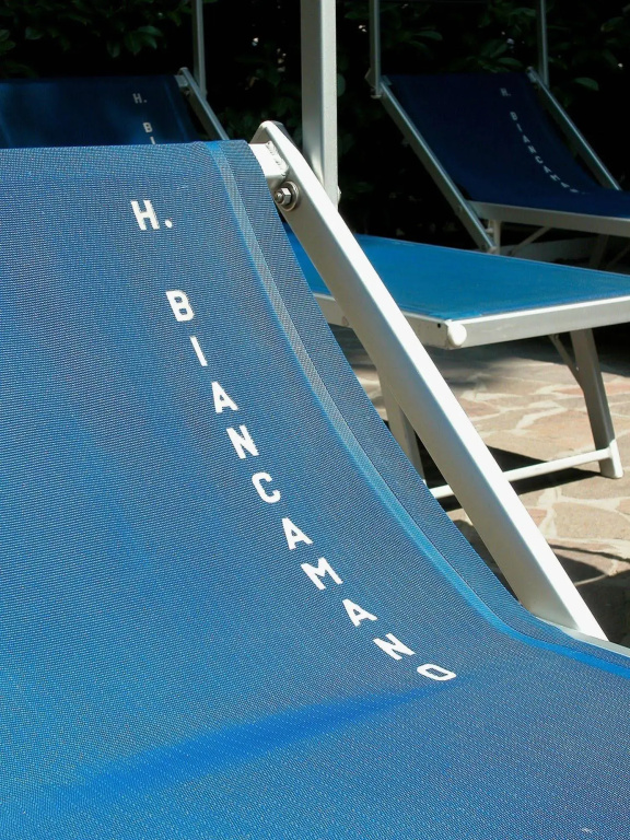 Hotel Biancamano - Général