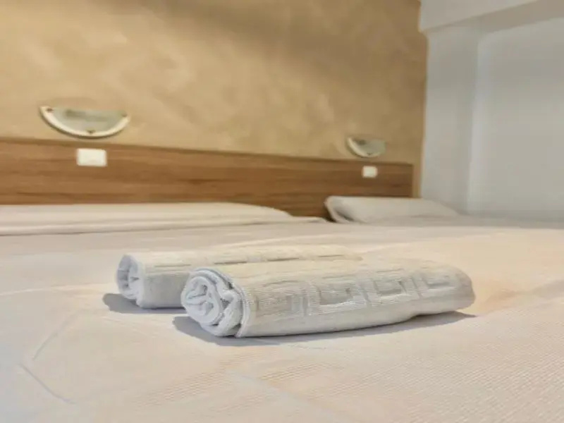 Standard Double room with view (full double bed)