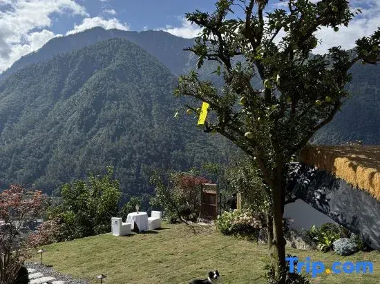 Front Yard Back Yard Snow Mountain Hot Spring Homestay (Hailuogou Glacier Forest Park)
