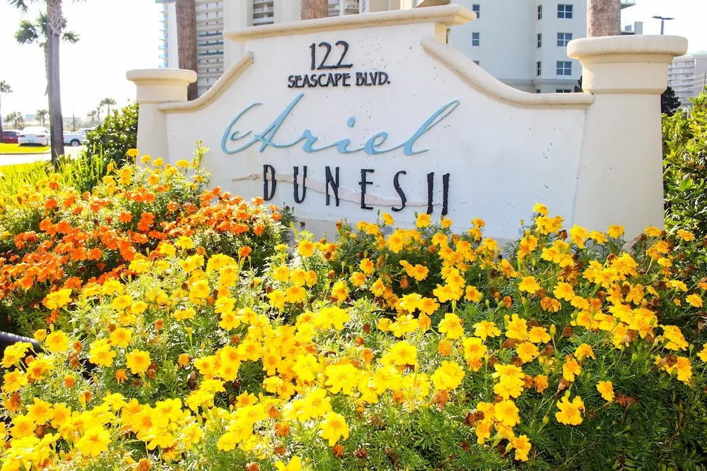 Ariel Dunes II