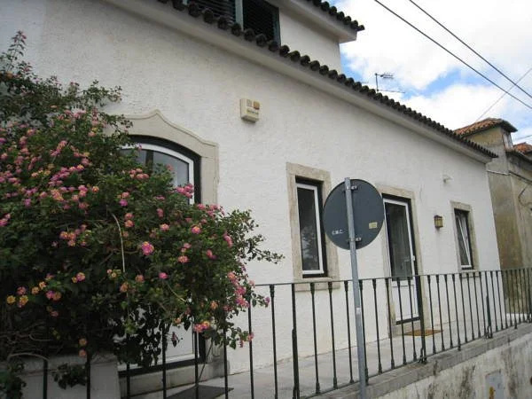 Petunia - Guest House