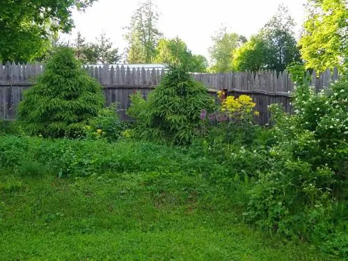 Guesthouse Puzhalova Izba - фото 12