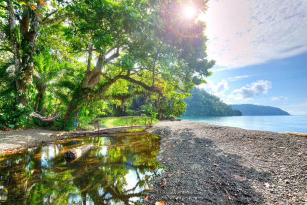 Beach & Waterfront