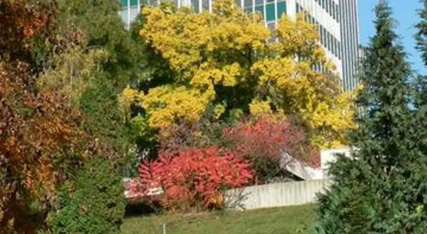 Summer Hotel Hill