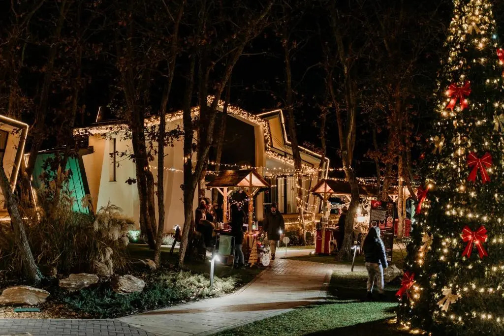 Utopia Forest — фото